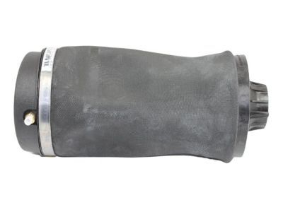 Mopar 68029912AF Air Spring, Rear