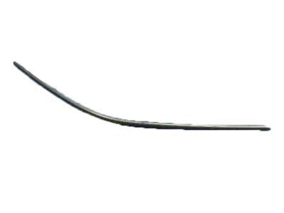 2014 Dodge Challenger Door Seal - 4575902AD