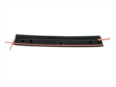 Ram 5109879AA APPLIQUE Sliding Door Outside B-Pillar