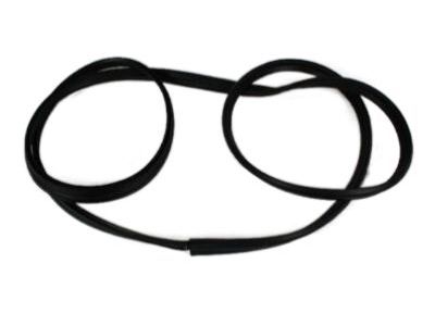 Jeep 55175354AE WEATHERSEAL Full Door To Body
