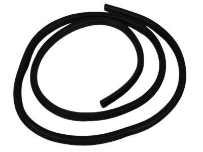Dodge 55277295AA WEATHERSTRIP Door Opening