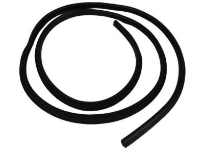 Dodge 55277295AA WEATHERSTRIP Door Opening