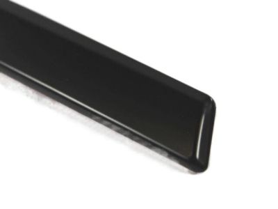 Ram ZR53TZZAA MOLDING Front Door