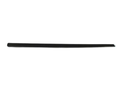Ram ZR53TZZAA MOLDING Front Door