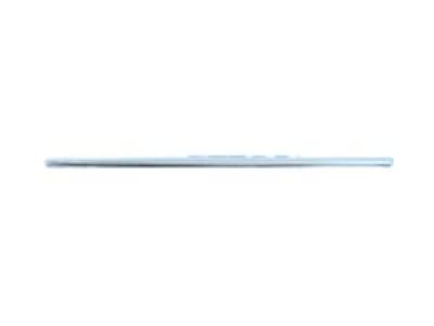 Mopar 68188802AF Molding Front Door Sliding Door Molding