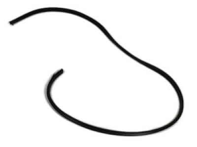 Dodge 5076863AE WEATHERSTRIP Front Door Opening Body Mounted