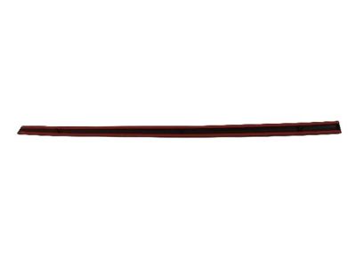 Mopar ZR64TZZAB Side Molding