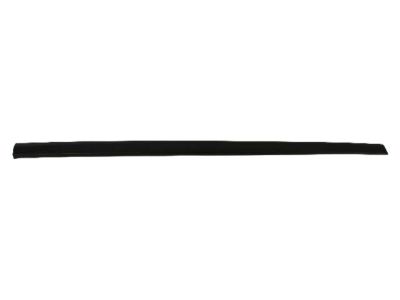 Mopar ZR64TZZAB Side Molding
