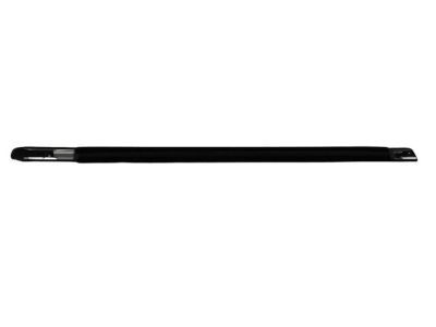 Chrysler 4805807AE WEATHERSTRIP Front Door Belt Outer