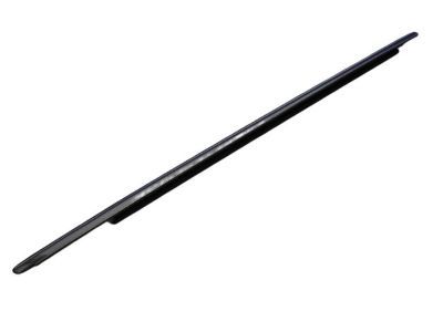 Chrysler 4805807AE WEATHERSTRIP Front Door Belt Outer
