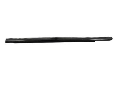 Chrysler 4805807AE WEATHERSTRIP Front Door Belt Outer