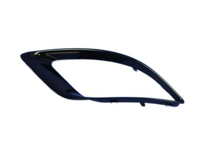 Dodge 5LS79DX8AB BEZEL Front Fascia