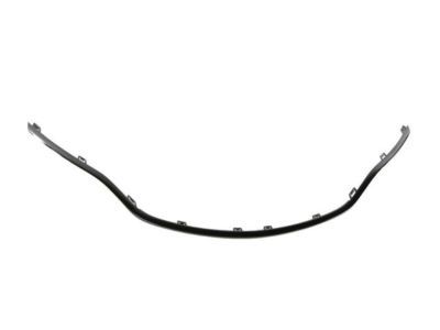 Chrysler 6CZ44NTSAA Molding