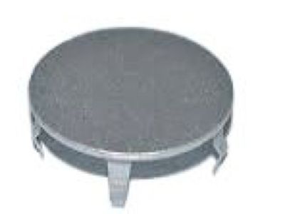 Chrysler SE30PAKAA CAP Wheel Center Machine Finish Aluminum