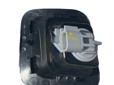 Ram 55078094AC LAMP License Plate