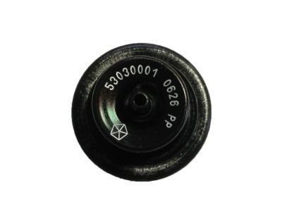 Jeep 53030001 REGULATOR Fuel Pressure