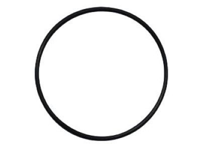 Dodge 68005261AA O-RING Extension
