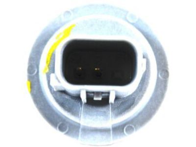 Mopar 68219838AA Socket, Rear
