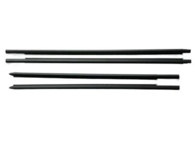 Ram 5500 Door Seal - 55372138AH