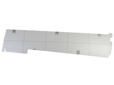 Ram 55372277AC APPLIQUE Rear Door