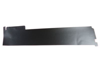 Ram 55372277AC APPLIQUE Rear Door