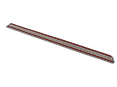 Dodge 5179259AA MOLDING Rear Door