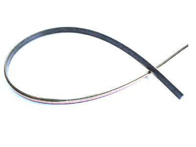 Mopar WS59RXFAE Roof Molding, Driver Side