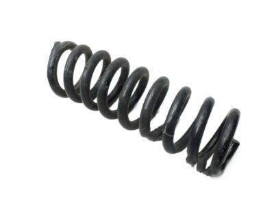 Mopar 4895324AC Spring, Rear