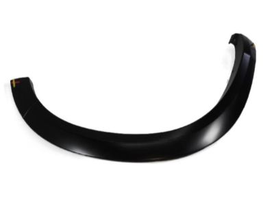 Ram 1TD26TZZAG MOLDING Wheel Opening Flare
