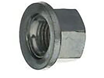 Dodge 6509661AA NUT Plastic Police Pkg.