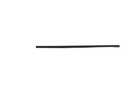 Dodge WG19AXRAC MOLDING Front Door