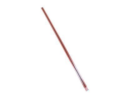 Dodge WG19AXRAC MOLDING Front Door