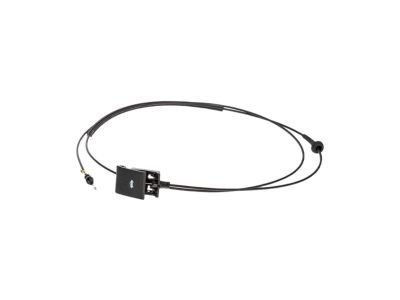Jeep 68103166AB HANDLE Release
