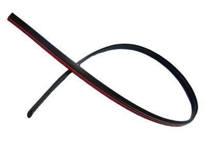 Dodge WS59RXFAD Molding - Roof
