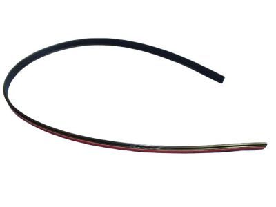 Dodge WS59RXFAD Molding - Roof