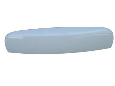2017 Dodge Charger Door Handle - 1MZ81GW7AG