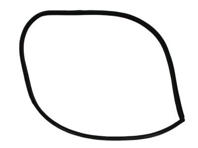 2004 Dodge Caravan Door Seal - 4717728AC