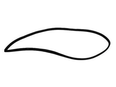 Dodge 4717728AC WEATHERSTRIP Front Door