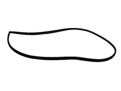 Dodge 4717728AC WEATHERSTRIP Front Door