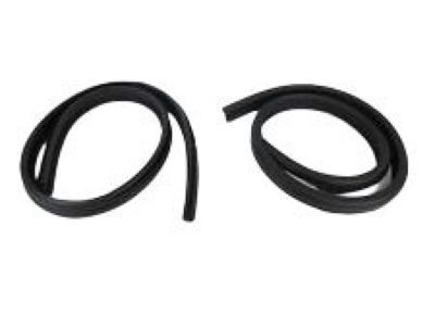 Dodge Ram Wagon Door Seal - 55359202AB