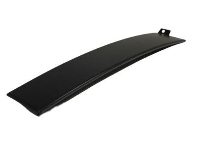 Dodge 4806305AB APPLIQUE Front Door