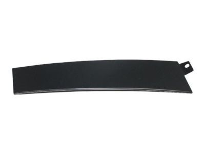 Dodge 4806305AB APPLIQUE Front Door