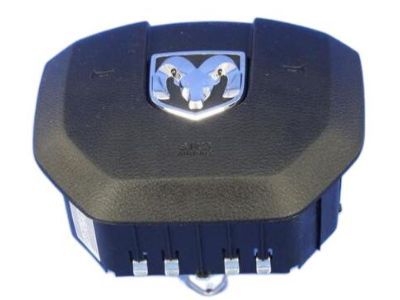Ram 1EF19DX9AJ AIR BAG Driver