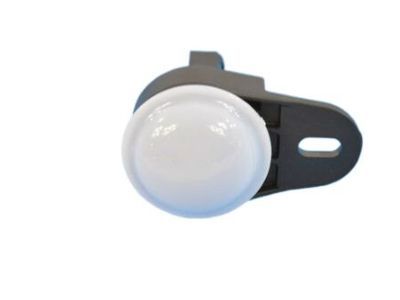 Mopar 68395784AA Courtesy Lamp
