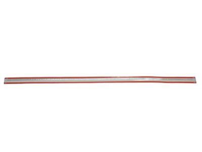 Dodge 5179257AA MOLDING Front Door
