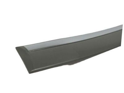 Dodge 5179257AA MOLDING Front Door