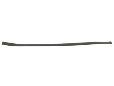 Dodge 5179257AA MOLDING Front Door