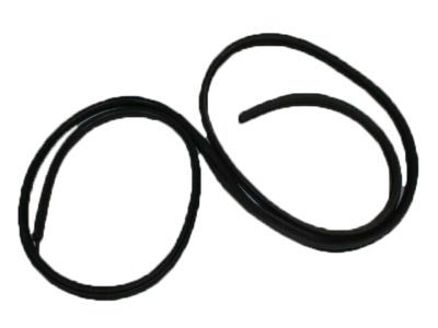 Mopar 55276503AA Weatherstrip, Front