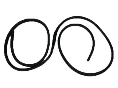Mopar 55276503AA Weatherstrip, Front