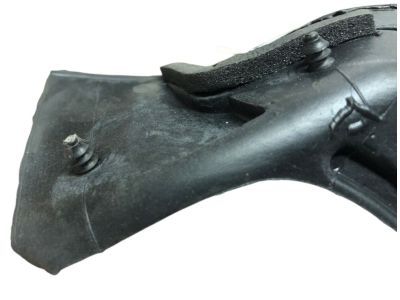 Dodge MR341828 WEATHERSTRIP Front Door